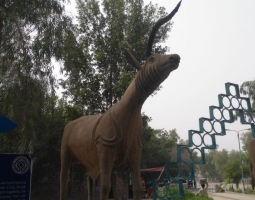 IMG-20180806-WA0120