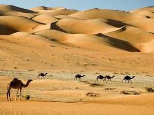 camel safari balochistan